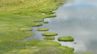 В области Жетысу у людей появилась сыпь после купания в реке — санврачи дали объяснения