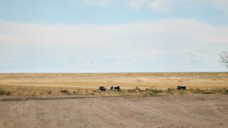 В трех городах Казахстана ожидаются неблагоприятные метеоусловия в субботу