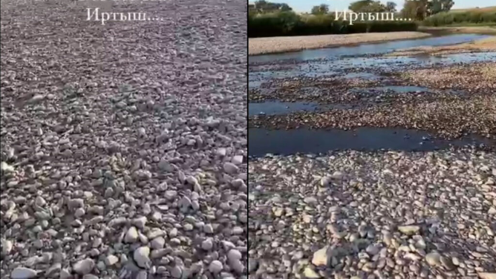 Фото: кадр из видео