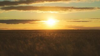 В воскресенье в Астане и Шымкенте ожидается ясная погода, в Алматы – переменная облачность