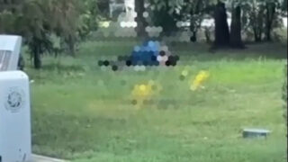 Занимавшуюся сексом на улице парочку оштрафовали в Талдыкоргане