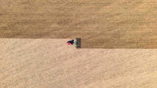 236 тысяч га в Казахстане застрахованы от засухи фермерами