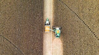 Аграрии Костанайской области предлагают закупать зерно по цене 100 тысяч тенге: просьба к премьер-министру