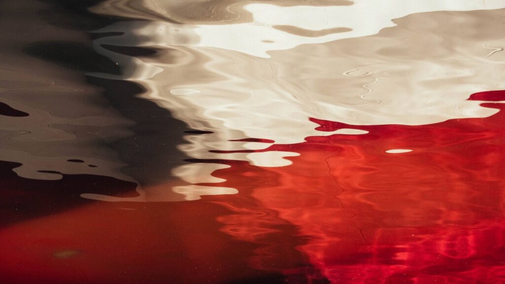 Фото: Unsplash