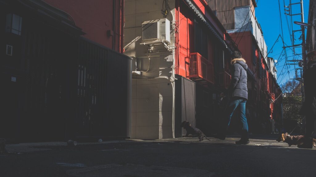 Фото: Unsplash