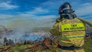 Из космоса заметили пожар в природном резервате «Иле-Балхаш»