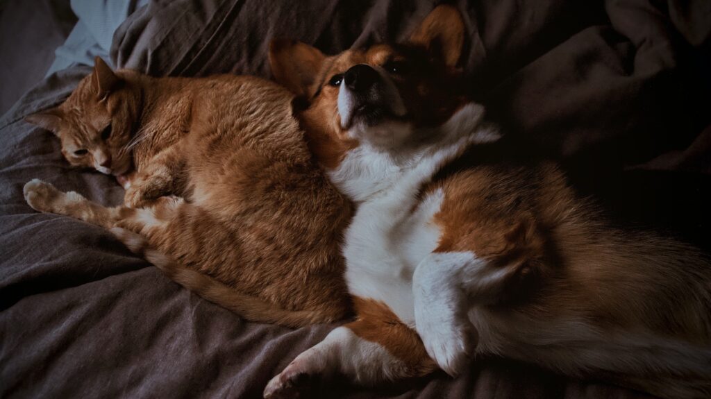 Фото: Brianna Tucker / Unsplash