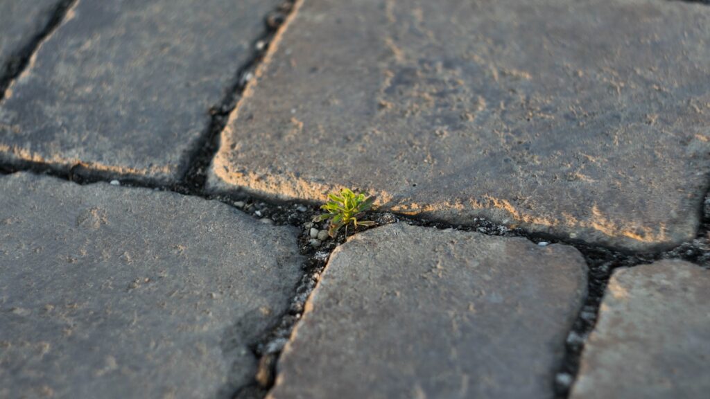 Фото: Imre Tömösvári / Unsplash