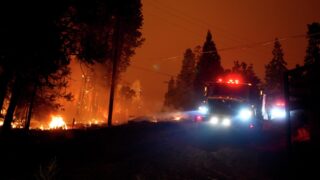 Количество жертв пожаров на Гавайях достигло 106 человек