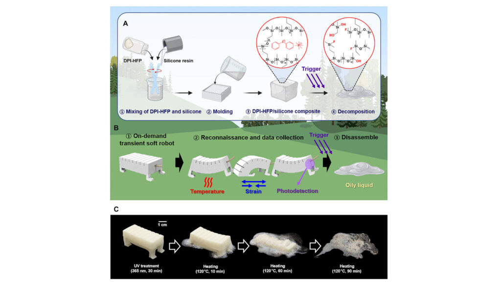 Фото: Min-Ha Oh et al./Science Advances