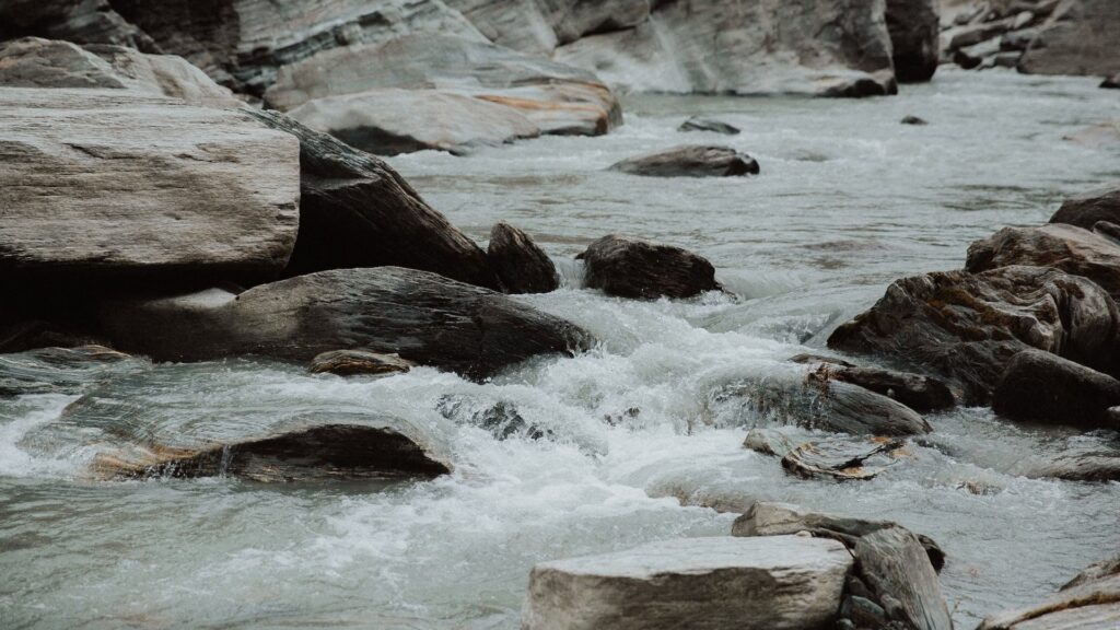 Фото: unsplash.com.