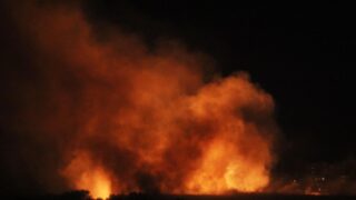 Локализован пожар в области Жамбылской горах