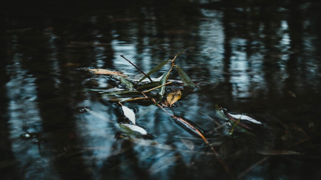 Фото: Unsplash