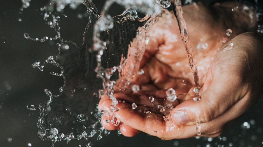 Фото: Unsplash