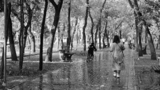 На 1 июля 2023 года население Казахстана составило 19 899 377 человек