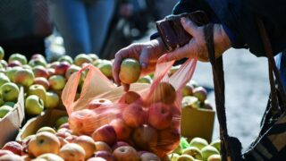 Свежие продукты и низкие цены: в Астане откроется новая ярмарка выходного дня