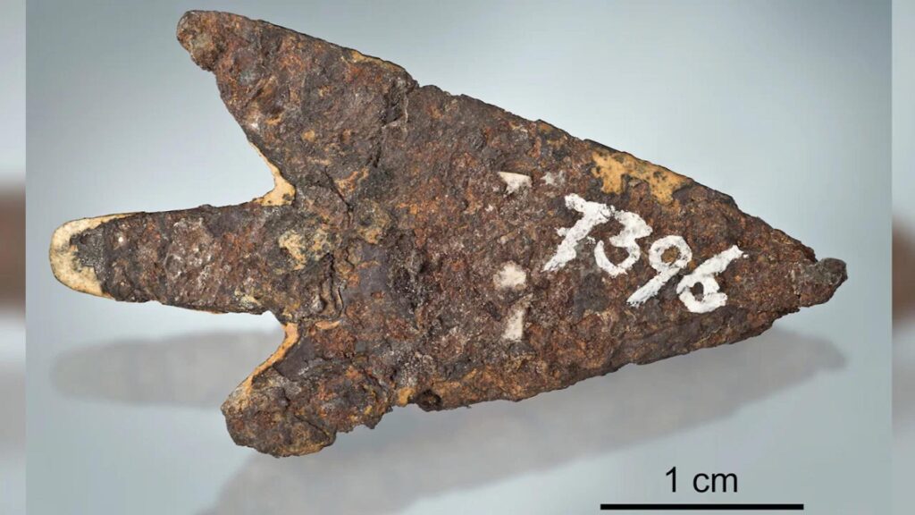 Фото: Courtesy Journal of Archaeological Science