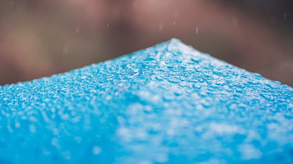 Фото: unsplash.com.