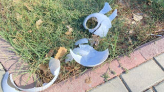 Подозреваемые, разбивавшие фонарей в парке у Вечного огня, задержаны