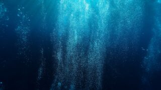 Подросток трагически погиб на частном пляже в ЗКО