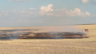 Пожар в Карагандинской области возник после грозы