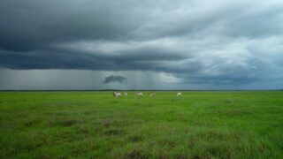 Прохлада наступит в Казахстане после долгой жары