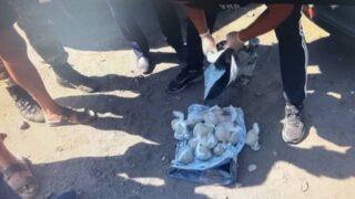 Сельчанин из ВКО обнаружен с большим количеством марихуаны в авто и гараже