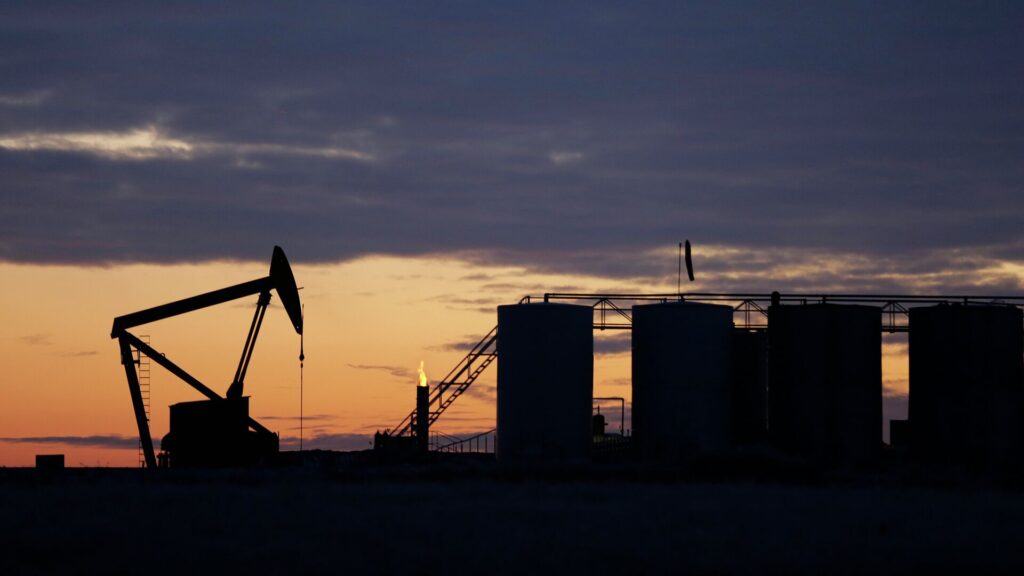 Фото: AP Photo/Eric Gay.