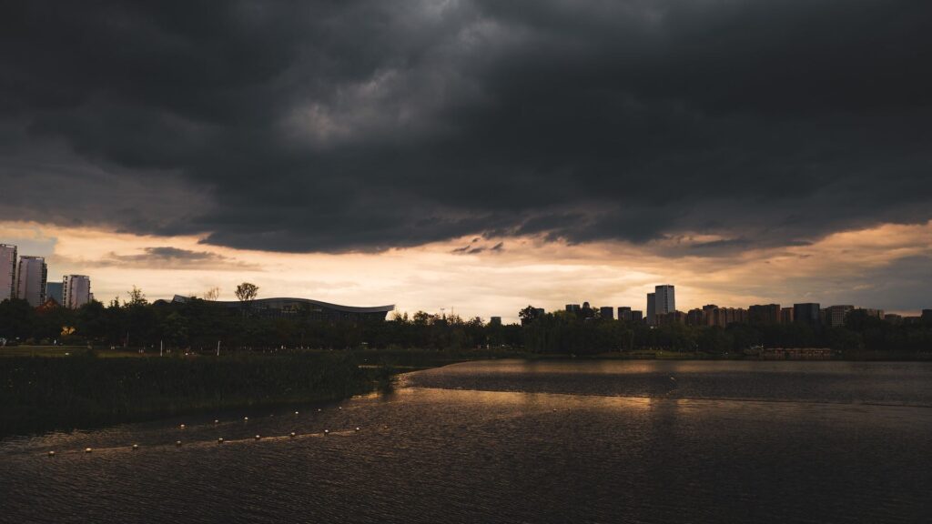 Фото: Unsplash