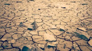 Сумма ущерба из-за ситуации в Жамбылской области достигла почти 4 млрд тенге