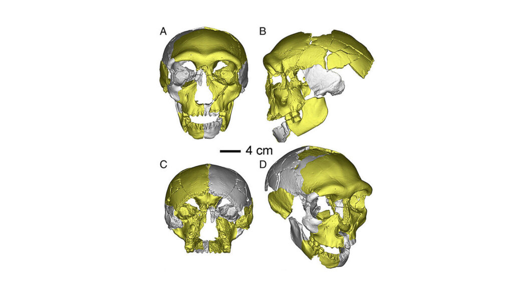 Фото: Wu Liu et al. Proceedings of the National Academy of Sciences (2019)