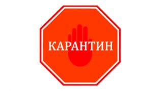 В Акмолинской области число госпитализированных с сибирской язвой выросло до 12: объявят карантин