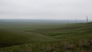 В Алматинской области нашли 514 тысяч га неиспользуемых земель сельскохозяйственного назначения