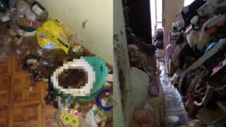 В Алматы мать детей-«маугли» лишат родительских прав