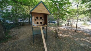 В Алматы установлена новая партия домиков, предназначенных для бездомных кошек