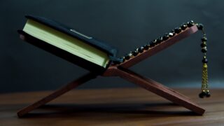 В Дании снова сожгли Коран перед посольствами Турции и Ирака