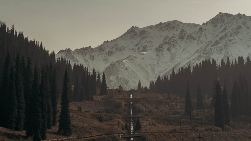 Фото: Anna / Unsplash