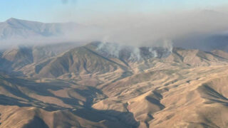 В горах Меркенского района Жамбылской области ликвидировали пожар 350 га