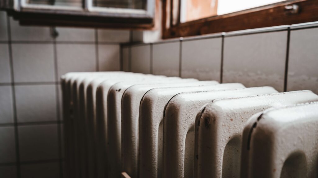 Фото: Julian Hochgesang / Unsplash