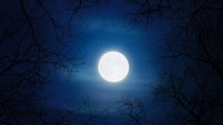 В ночь на 31 августа на небе будет видна «Голубая Луна» и максимально большой лунный диск