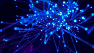 Более 200 сел Павлодарской области будут включены в нацпроект «Доступный интернет»