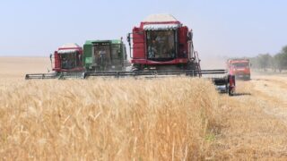 В первом полугодии объем валовой сельхозпродукции достиг 2,1 трлн тенге