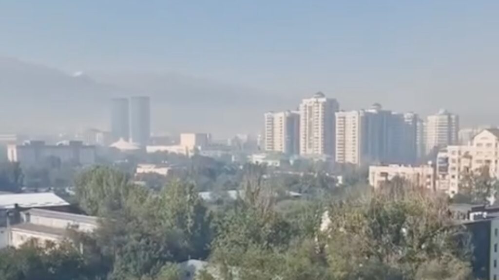 Источник: скриншот видео из соцсетей