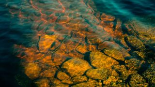 В Жамбылской области потеряли урожай на 560 гектар из-за не подачи воды из Кыргызстана