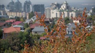 55,2% достиг уровень деловой активности за август в Алматы