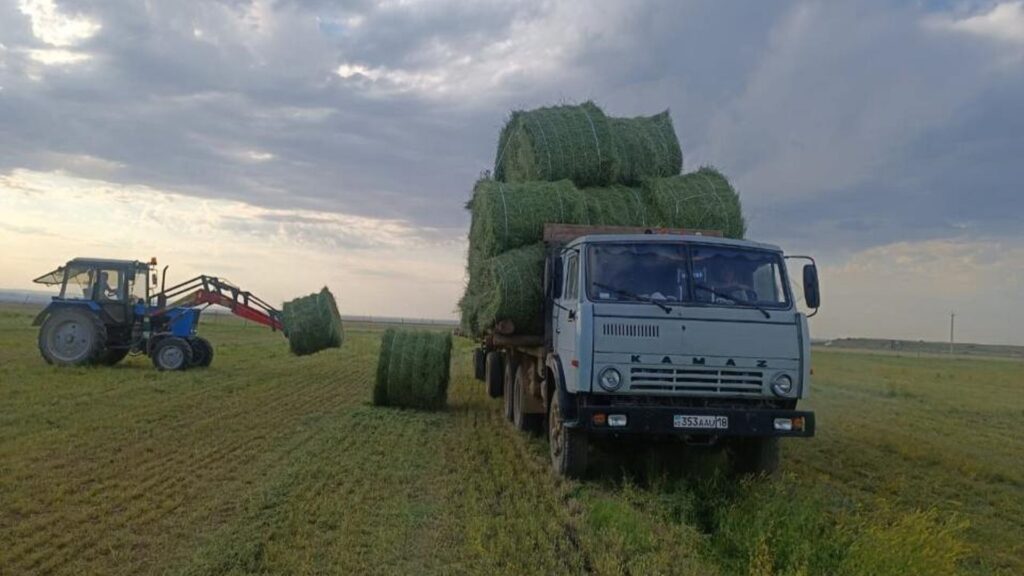 Фото: акимат Абайской области.