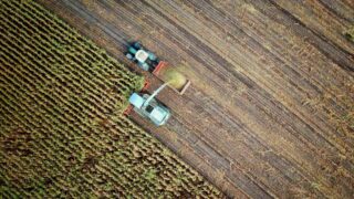 Актуальные вопросы проведения уборочной кампании рассмотрены на заседании Правительства 