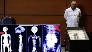 Антрополог объяснил происхождение «инопланетян», показанных в Мексике