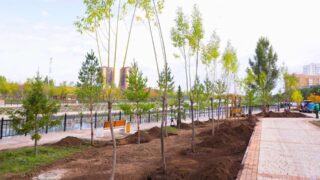 Астанчане вывезли 110 тонн мусора во время общегородского субботника