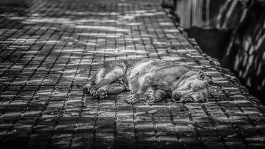 Фото: Unsplash